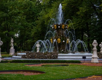Сады Санкт-Петербурга: путешествие во времени