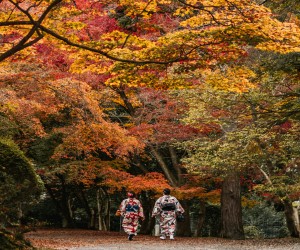 Осенние чудеса Японии: листопады и культурные события