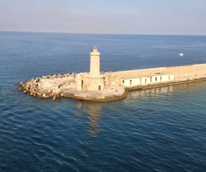 День 11