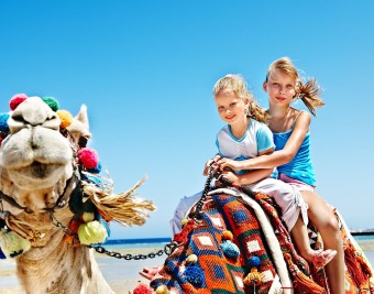 Семейный отдых в Египте с 23 по 30 июля