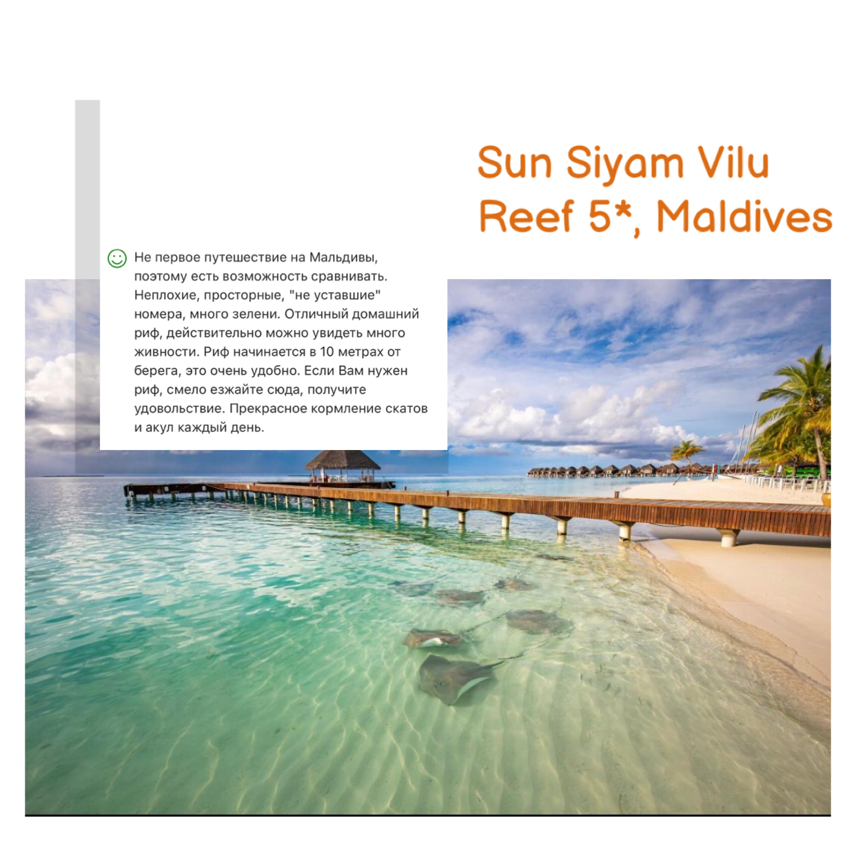 Sun Siyam Vilu Reef 5* Мальдивы. Где находится этот отель?